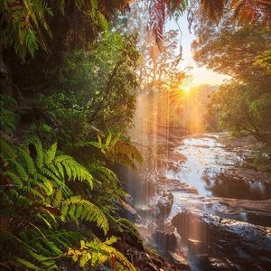 Meet your Posher, Johnathan